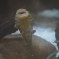 DSC01474.JPG