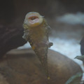 DSC01475.JPG