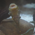 DSC01476.JPG