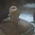 DSC01477.JPG