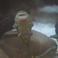 DSC01479.JPG