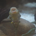 DSC01480.JPG