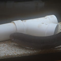 DSC01482.JPG