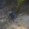 DSC01484.JPG