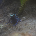 DSC01485.JPG