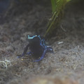 DSC01486.JPG