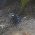 DSC01487.JPG