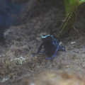 DSC01488.JPG