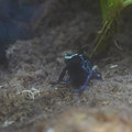DSC01489.JPG