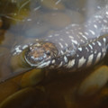 DSC01492.JPG