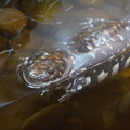 DSC01501.JPG