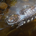 DSC01502.JPG