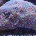 DSC01511.JPG