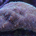 DSC01514.JPG