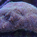 DSC01516.JPG