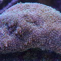 DSC01517.JPG