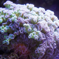 DSC01525.JPG