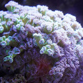 DSC01526.JPG