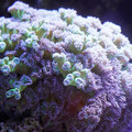 DSC01527.JPG