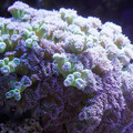DSC01528.JPG