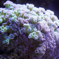 DSC01530.JPG