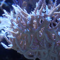 DSC01534.JPG