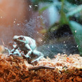 DSC01535.JPG