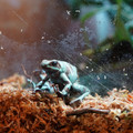 DSC01536.JPG