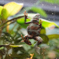 DSC01541.JPG