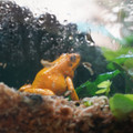 DSC01542.JPG
