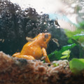 DSC01544.JPG