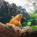 DSC01546.JPG