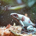 DSC01548.JPG