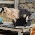 DSC01553.JPG