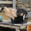 DSC01554.JPG
