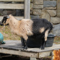 DSC01555.JPG