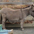 DSC01561.JPG
