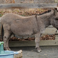 DSC01562.JPG