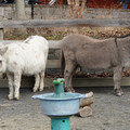 DSC01564.JPG