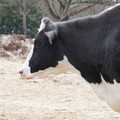DSC01565.JPG