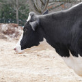 DSC01566.JPG