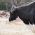 DSC01567.JPG