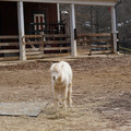 DSC01568.JPG