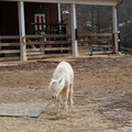 DSC01569.JPG
