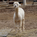 DSC01571.JPG