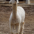 DSC01573.JPG