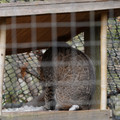 DSC01583.JPG