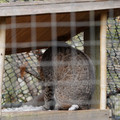 DSC01584.JPG