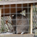 DSC01585.JPG