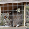 DSC01586.JPG